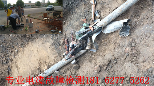 大香蕉福利视频點找到.jpg