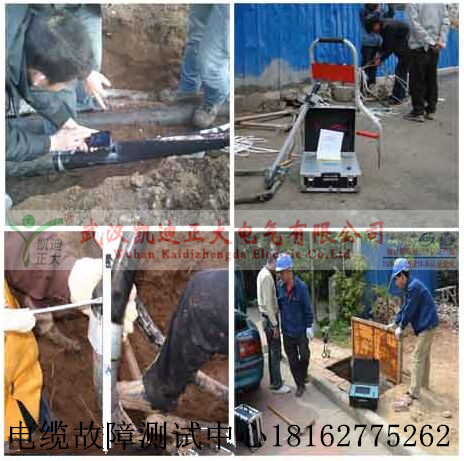 大香蕉福利视频查找現場.jpg