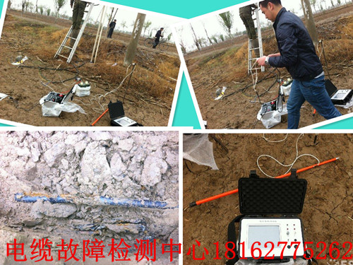 大香蕉福利视频搶修綜合圖.jpg