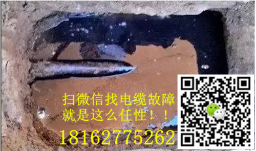 微信就可以找大香蕉福利视频了.jpg