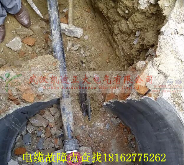大香蕉福利视频點找出.jpg