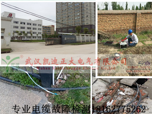 專業大香蕉福利视频檢測.jpg