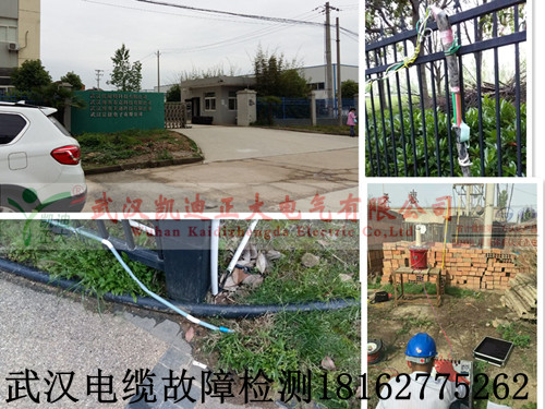 武漢大香蕉福利视频檢測.jpg