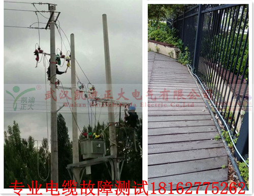 大香蕉福利视频檢測查找.jpg