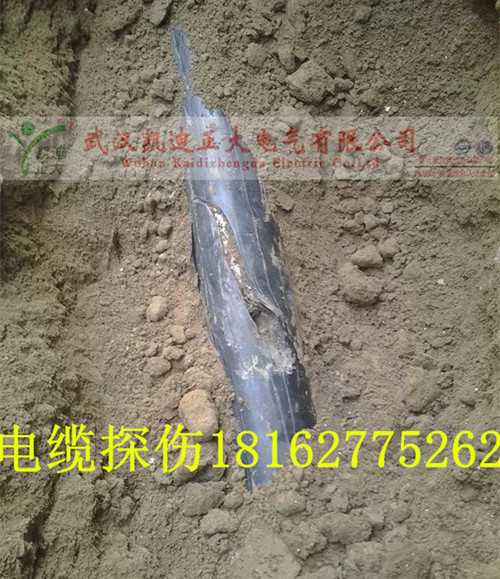 大香蕉福利视频點找出結果.jpg