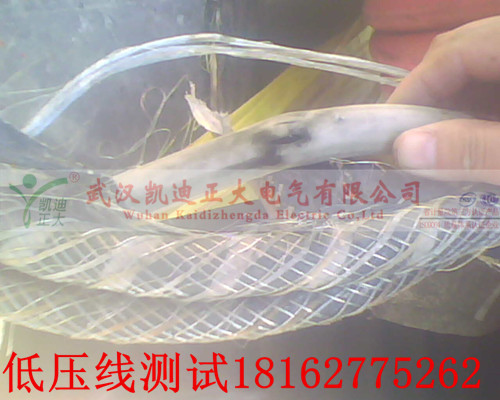 大香蕉福利视频點修補.jpg