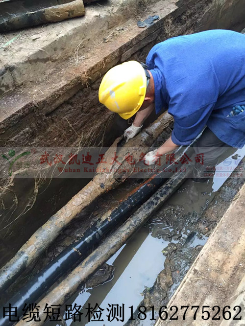 大香蕉福利视频測試.jpg