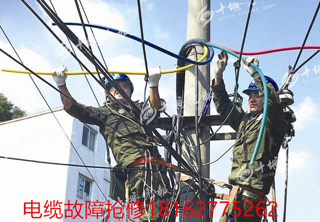 大香蕉福利视频測試.jpg