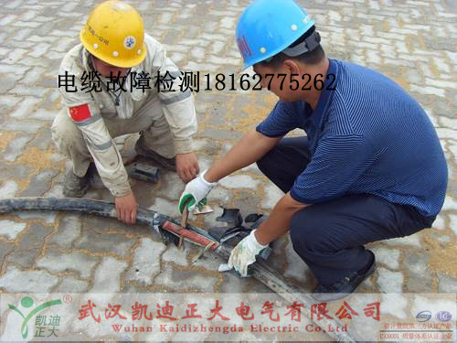 大香蕉福利视频檢測.jpg