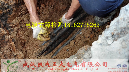 大香蕉福利视频測試儀.jpg