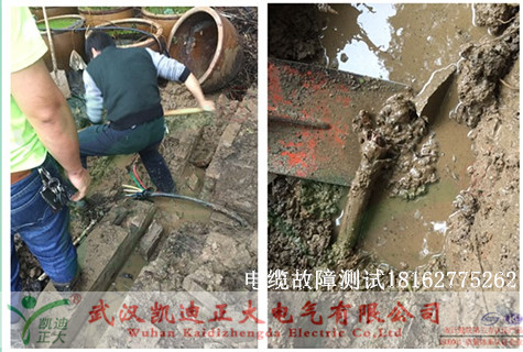 植物園大香蕉福利视频測試.jpg